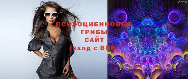 PSILOCYBIN Абинск