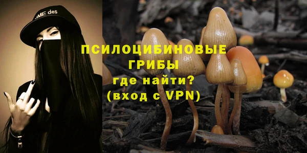 PSILOCYBIN Абинск