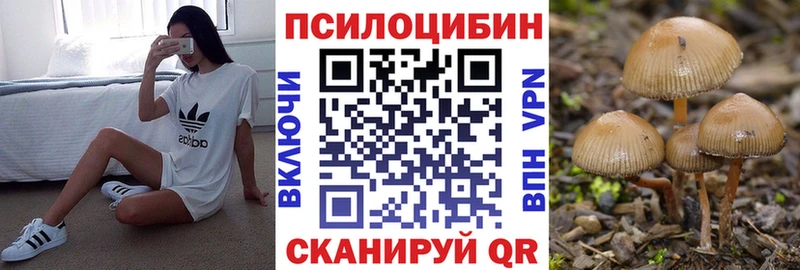 наркота  Смоленск  Галлюциногенные грибы ЛСД 